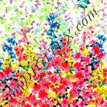 Colour:J