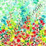 Colour:K