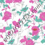 Colour:B