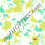 Colour:K