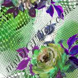 Colour:C