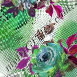 Colour:D