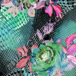 Colour:F