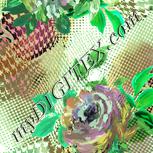 Colour:K