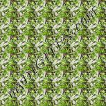 Colour:D