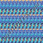 Colour:F