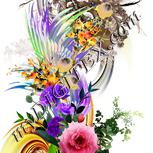 Colour:A