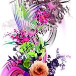 Colour:B
