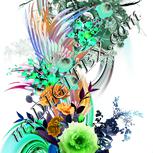 Colour:C