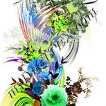 Colour:D