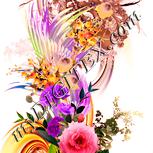 Colour:J