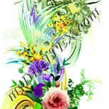 Colour:K