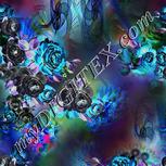 Colour:F