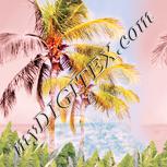 Colour:J