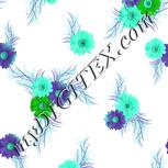 Colour:C