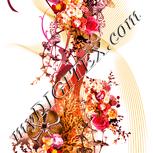 Colour:J