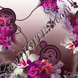 Colour:B