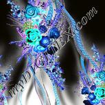Colour:F