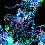 Colour:F