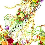 Colour:K