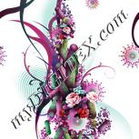 Colour:B