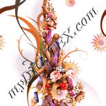 Colour:J