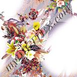 Colour:A