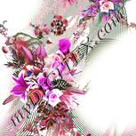 Colour:B