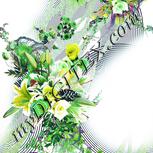 Colour:D
