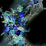 Colour:F