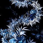 Colour:F