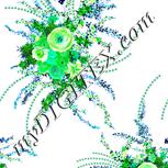 Colour:C