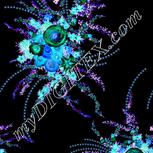 Colour:F