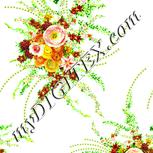Colour:K