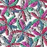 Colour:B