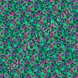 Colour:F
