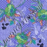 Colour:F