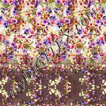 Colour:A