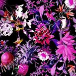 Colour:B
