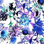 Colour:F