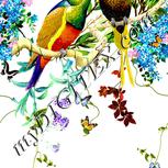 Colour:A