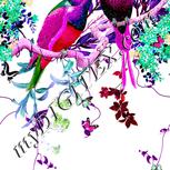 Colour:B