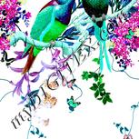 Colour:C