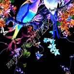 Colour:F