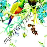 Colour:K