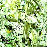 Colour:K