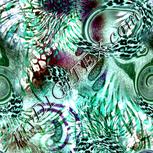 Colour:C