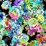Colour:B