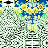 Colour:K