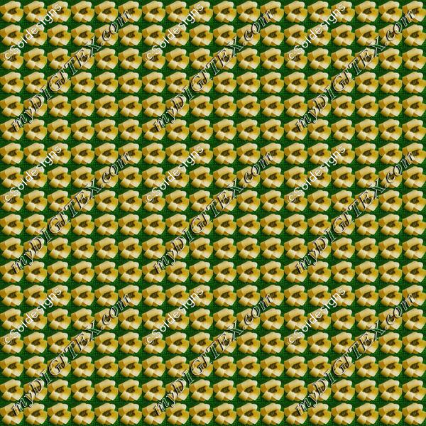 Sun flower Effect
